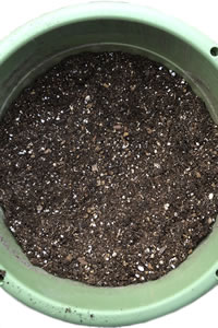 スペシャルソイル