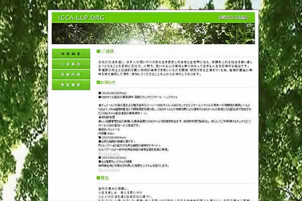 有限責任事業組合 国際文化交流協会