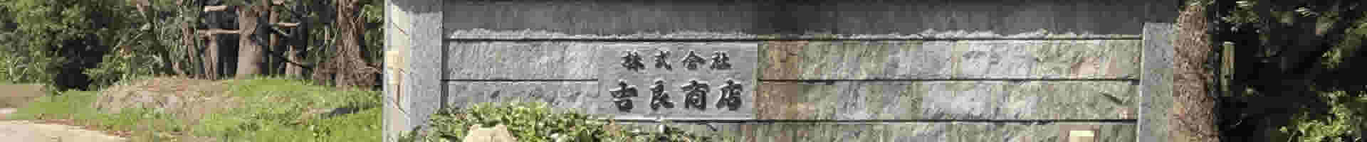 神谷農法　農園　苗